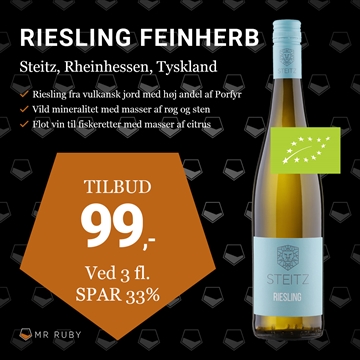 2021 Riesling Feinherb, Weingut Steitz, Rheinhessen, Tyskland